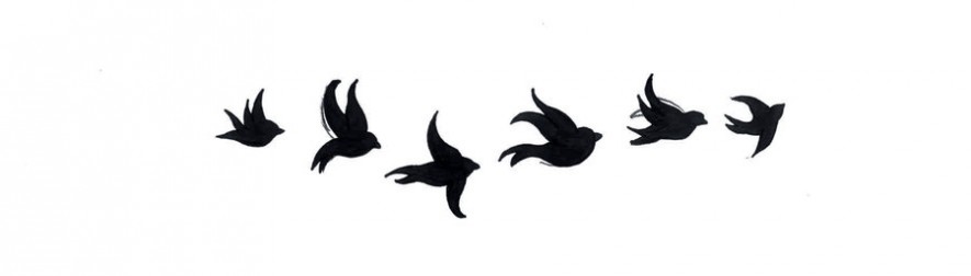 cropped-flying-animals-birds-black-and-white-favim-com-5995471.jpg